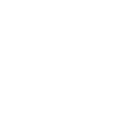 Apex Studio